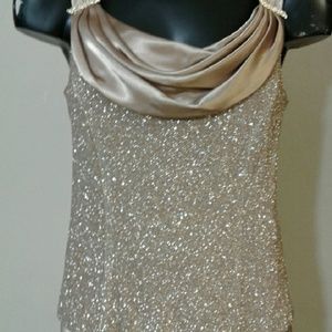 Petra Satin Tan Gown Size formal Size 14